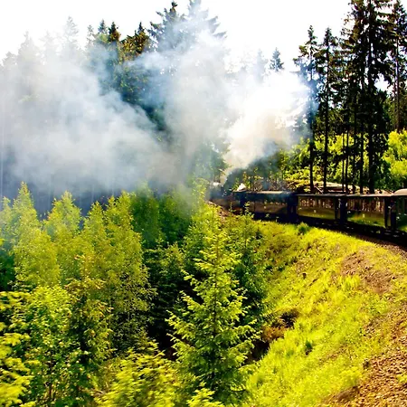 Apartment Regiohotel Harzresidenz - #familienfreundlich #frischrenoviert #waschmaschine #freeparking Wernigerode