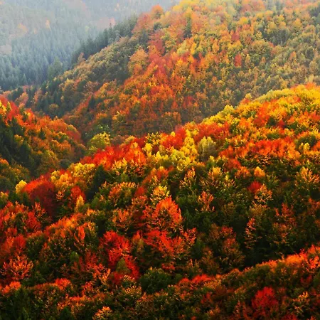 Regiohotel Harzresidenz - #familienfreundlich #frischrenoviert #waschmaschine #freeparking Apartment 3*