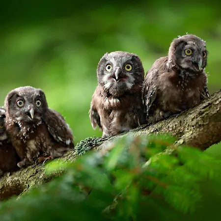 Regiohotel Harzresidenz - #familienfreundlich #frischrenoviert #waschmaschine #freeparking 3*