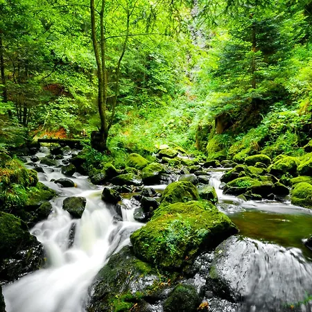 Regiohotel Harzresidenz - #familienfreundlich #frischrenoviert #waschmaschine #freeparking 3*