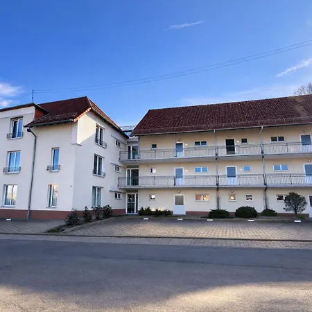 Regiohotel Harzresidenz - #familienfreundlich #frischrenoviert #waschmaschine #freeparking Apartment 3*