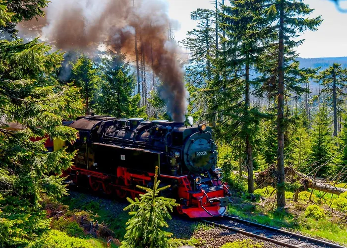 Apartmán Regiohotel Harzresidenz - #familienfreundlich #frischrenoviert #waschmaschine #freeparking Wernigerode