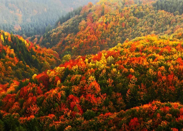 Regiohotel Harzresidenz - #familienfreundlich #frischrenoviert #waschmaschine #freeparking Apartament 3*