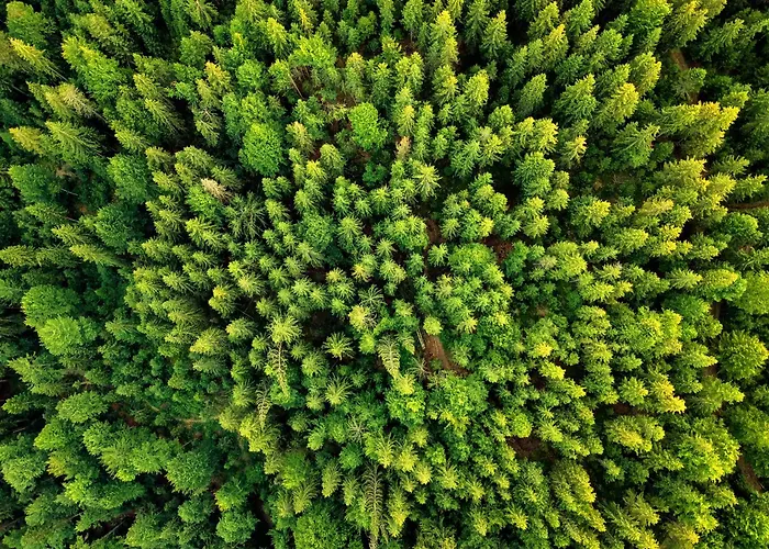 Regiohotel Harzresidenz - #familienfreundlich #frischrenoviert #waschmaschine #freeparking Apartament