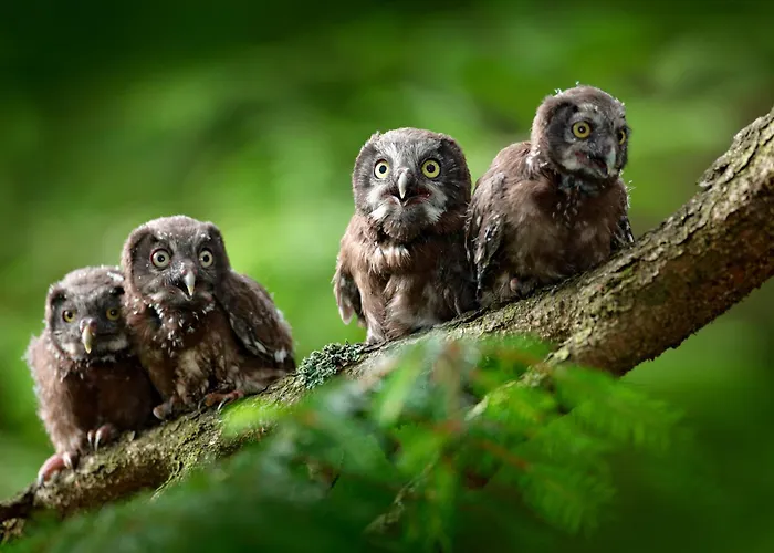 Regiohotel Harzresidenz - #familienfreundlich #frischrenoviert #waschmaschine #freeparking 3*