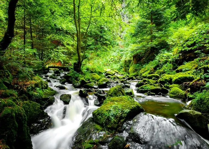 Regiohotel Harzresidenz - #familienfreundlich #frischrenoviert #waschmaschine #freeparking 3*